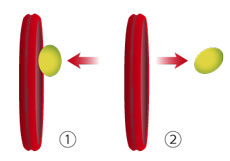3D Vector Shaft - Yonex tennis Italia